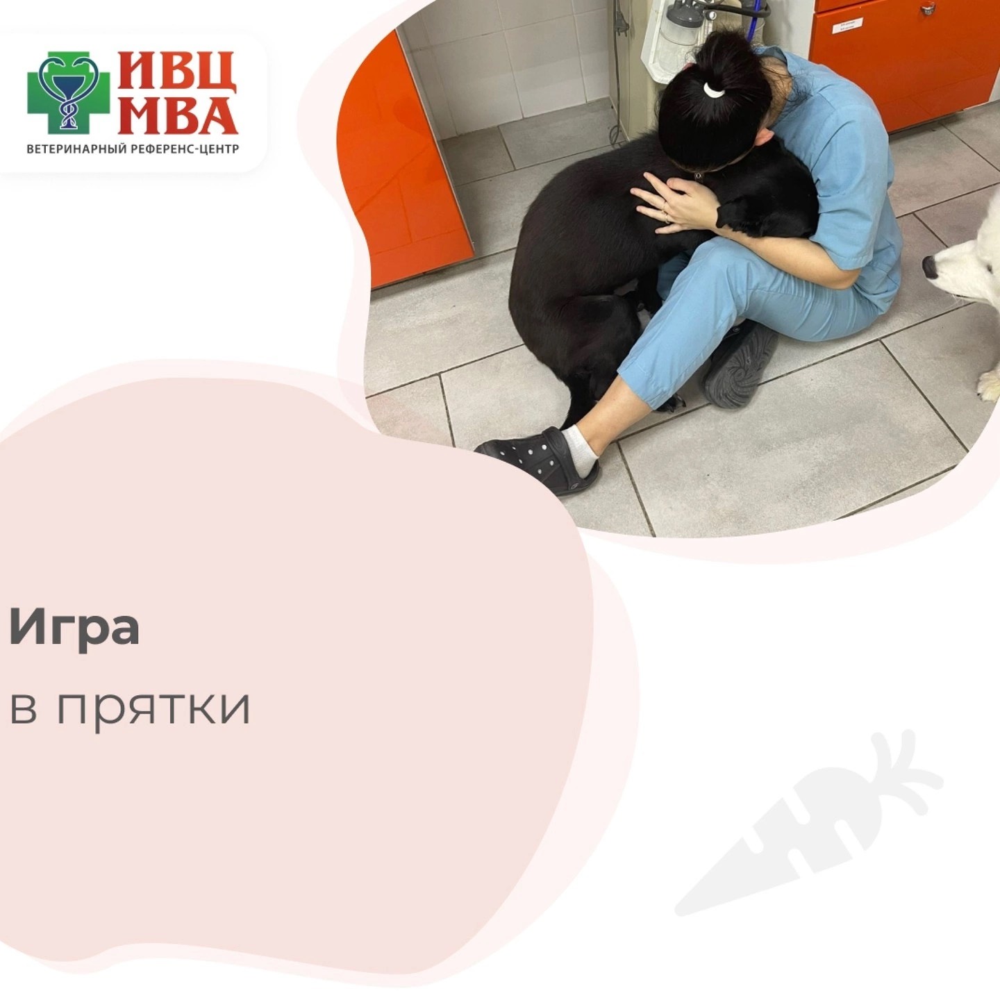 Изображение Кто лучше всех играет в прятки? 🙈 в соцсети TenChat
